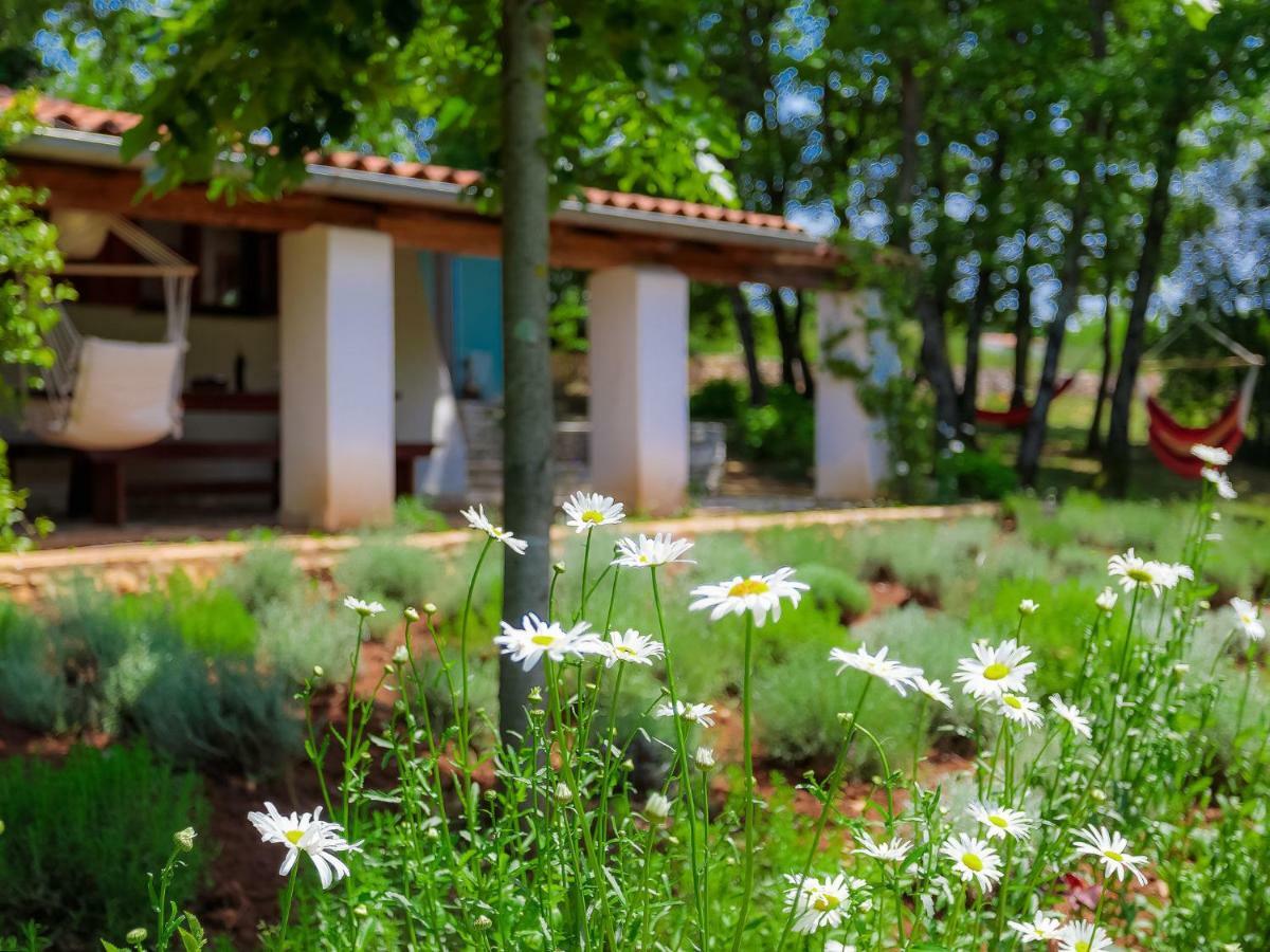 Holiday Home Country House D&D By Interhome Pula Dış mekan fotoğraf